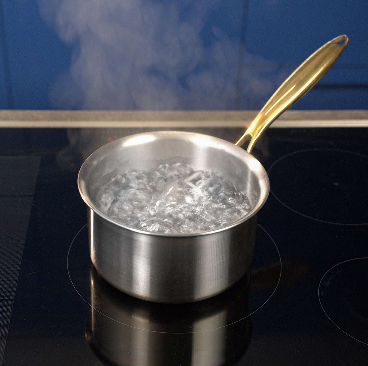 Taima Titanium Nutri Pot Pro